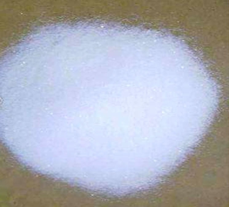 黄瓜视频APP在线免费观看污价格